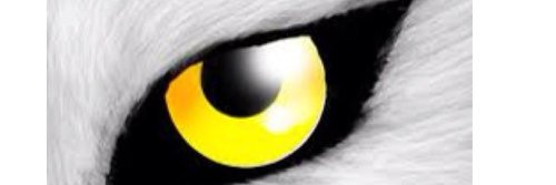 MONEERFARIS's profile banner image