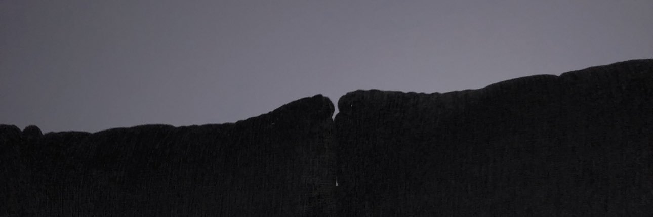 young_spicoli's profile banner image