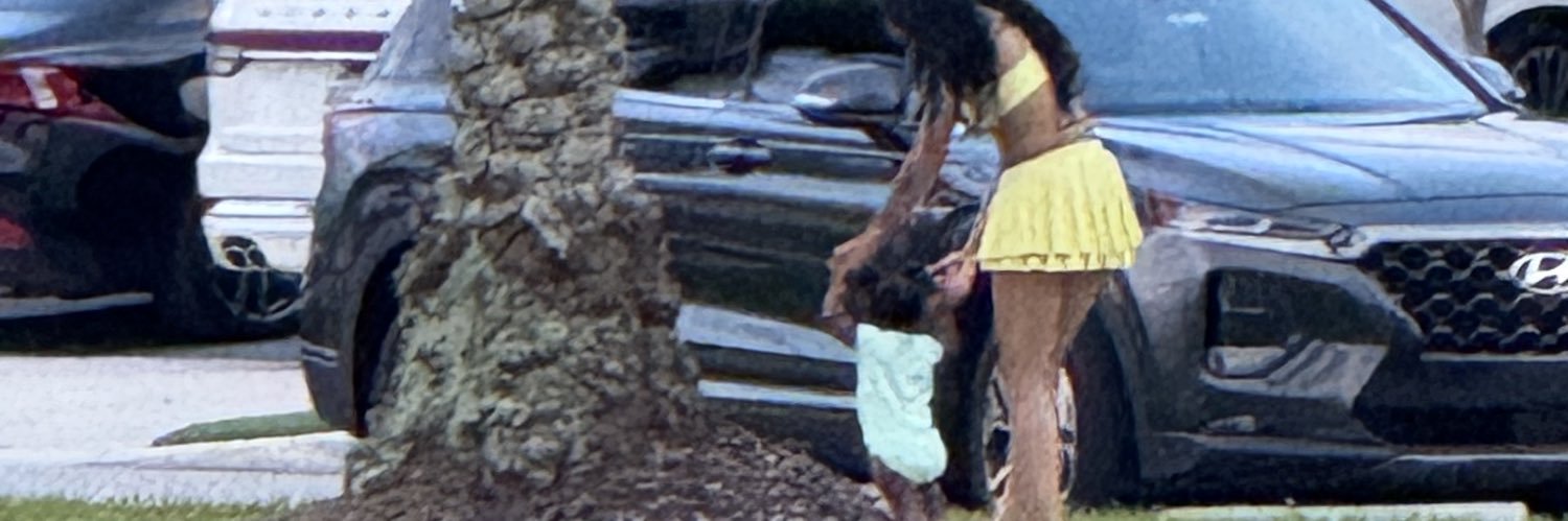aahlya_'s profile banner image