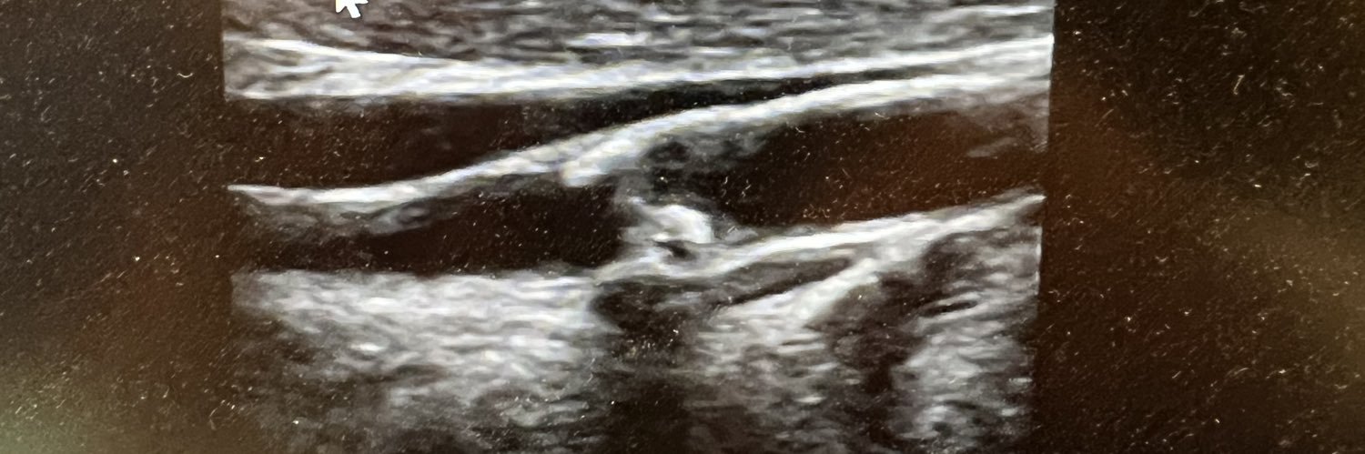 DrVascular's profile banner image