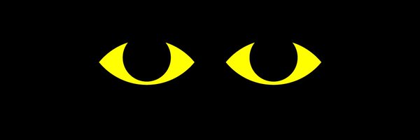 2pointV Profile Banner