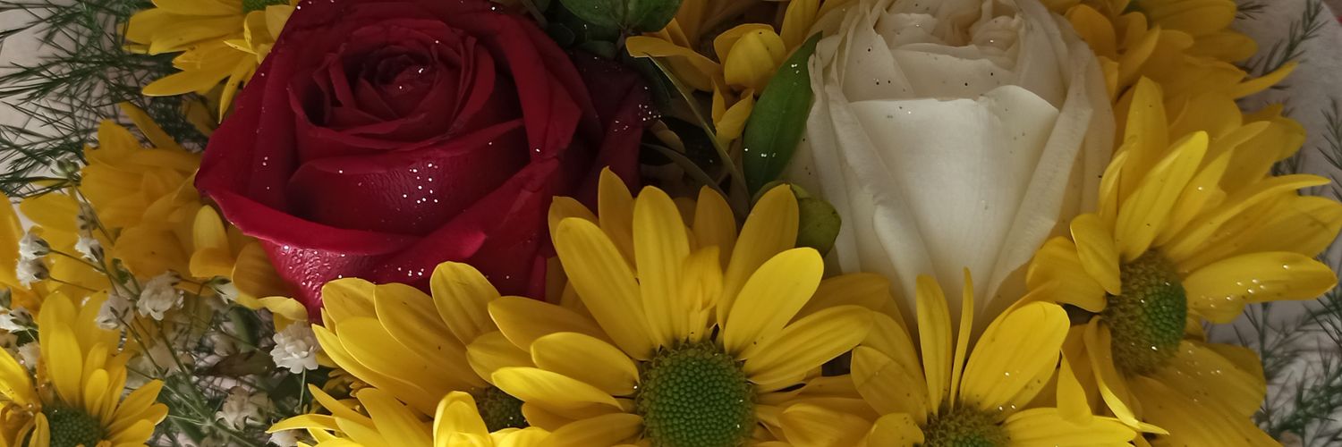 BerjinSevinc's profile banner image