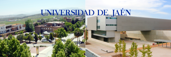 vicestUJA Profile Banner