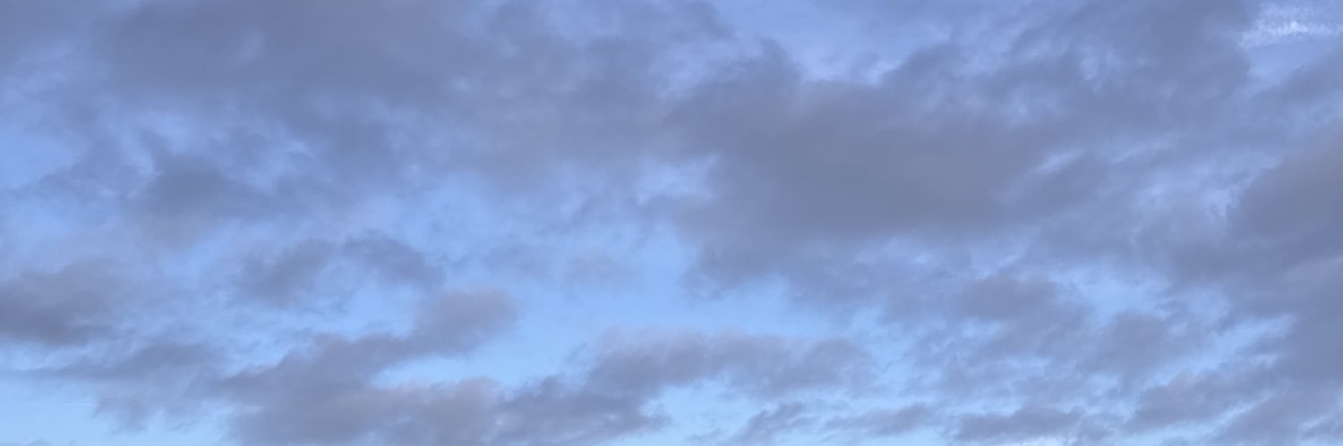finsub_776's profile banner image