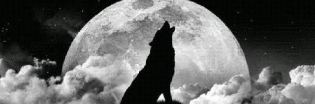 Kevin__KR's profile banner image