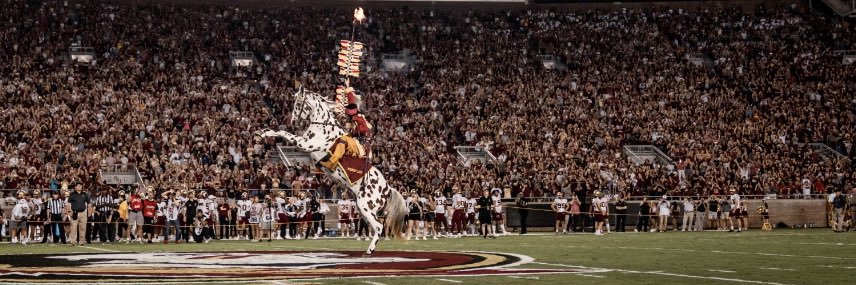 nennykelson's profile banner image