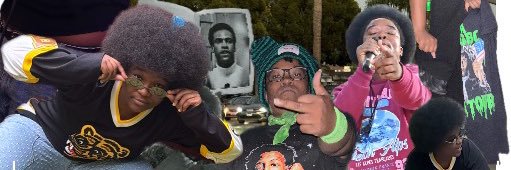 The Only Bonaducci banner