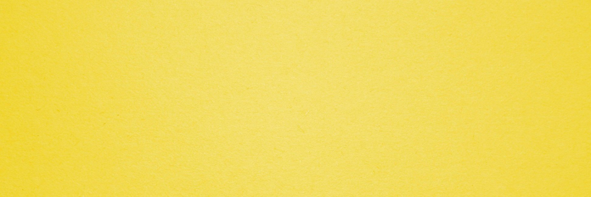 Anna Cavasin banner