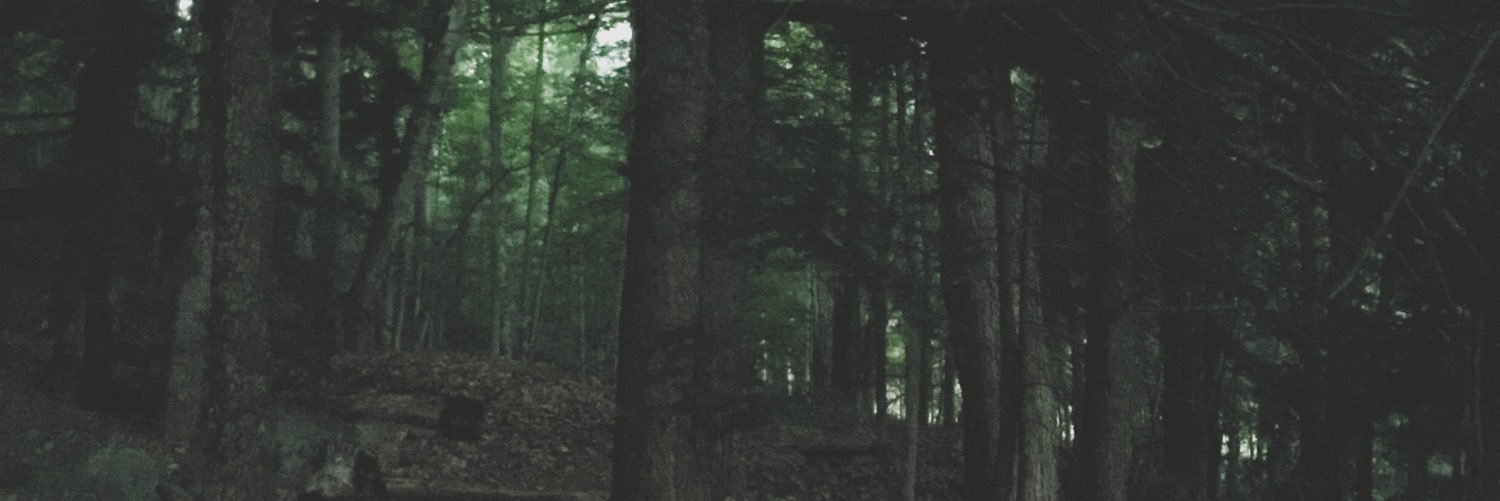 aarankin's profile banner image