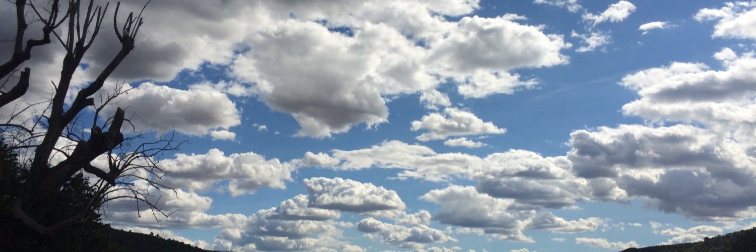 mlsabrie's profile banner image