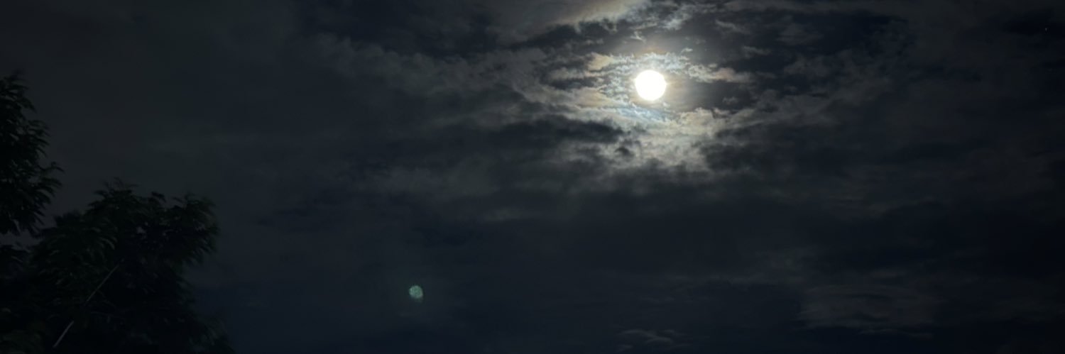 RyanLizardo08's profile banner image