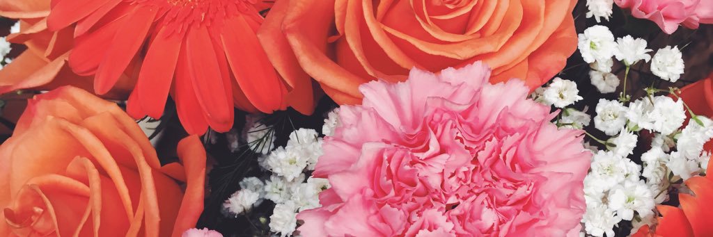 susy_lee's profile banner image