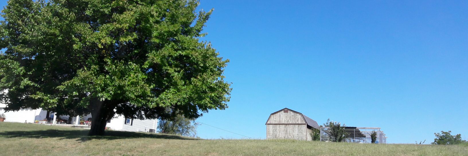 ShirinGlander's profile banner image