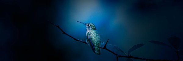 ItsMuambi Profile Banner