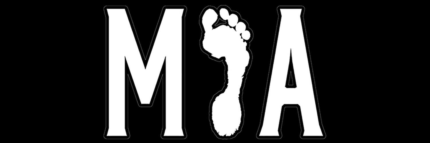 MissionImpactA_'s profile banner image