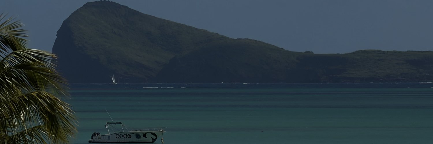 6pree1's profile banner image