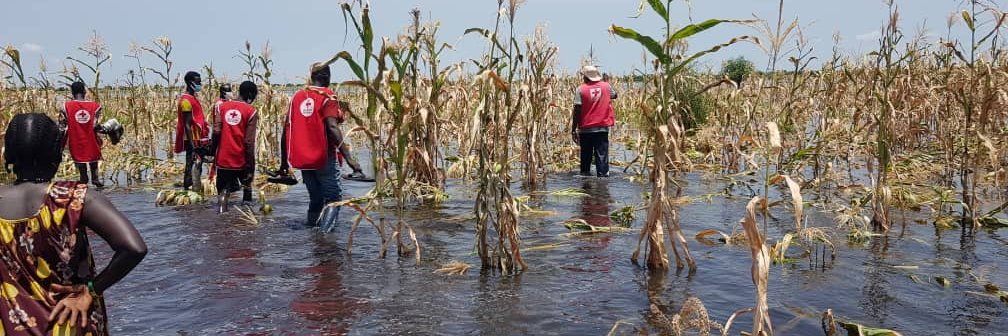 South Sudan Red Cross banner