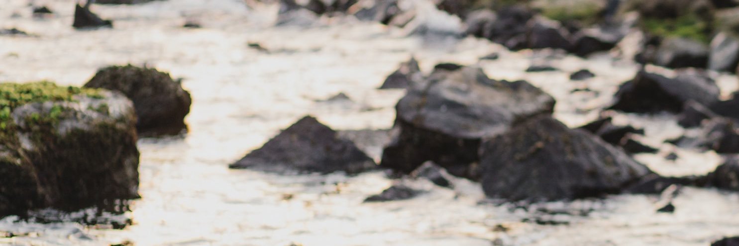 B3P7L1R9's profile banner image