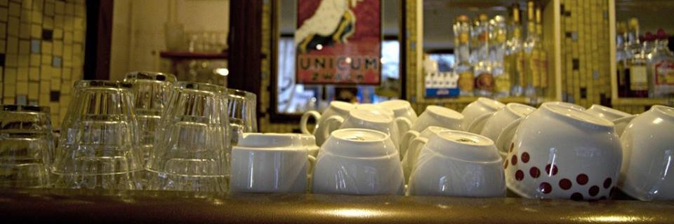 Erika Kispeter banner