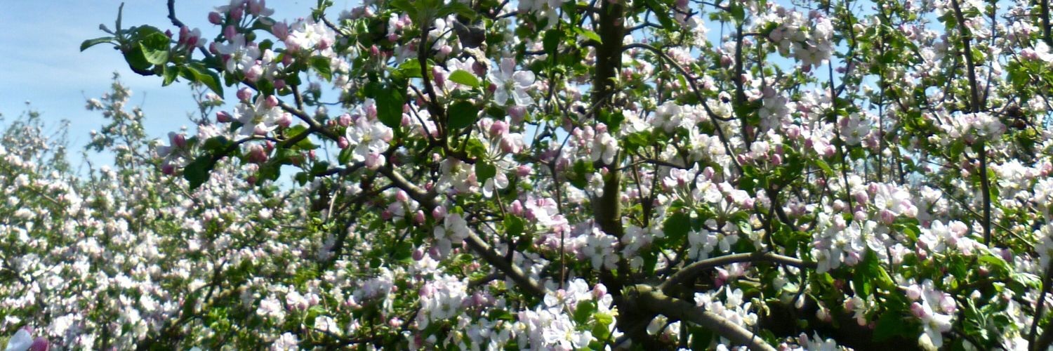 MaximeKabore's profile banner image