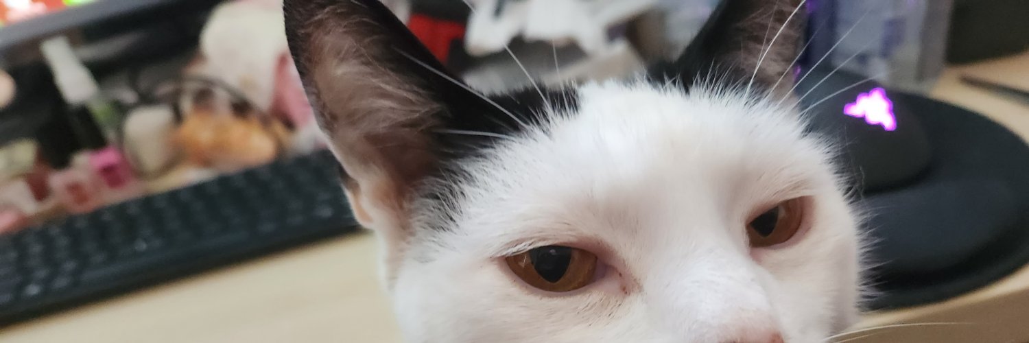 bubbliness1's profile banner image