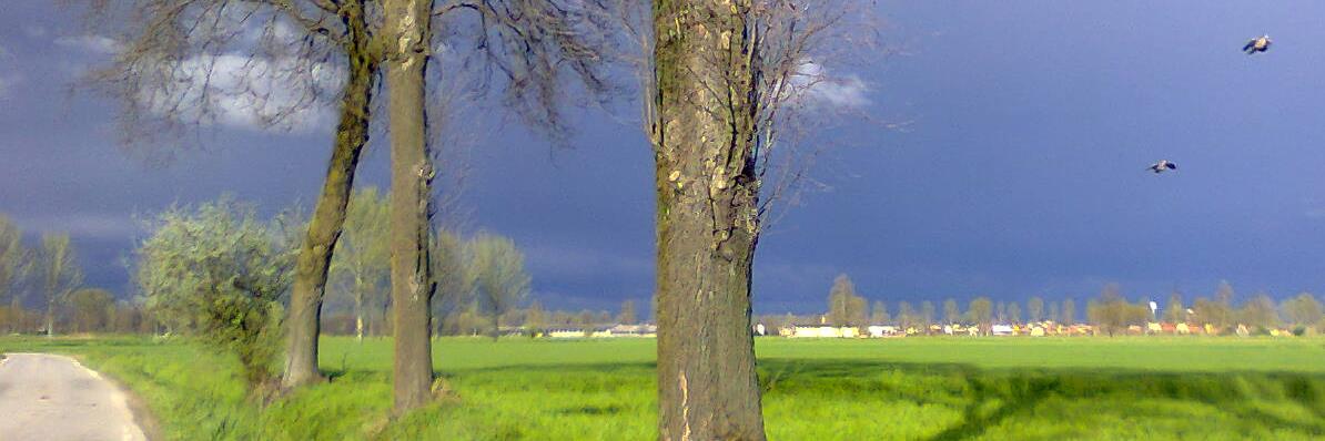 fbianchi2010's profile banner image