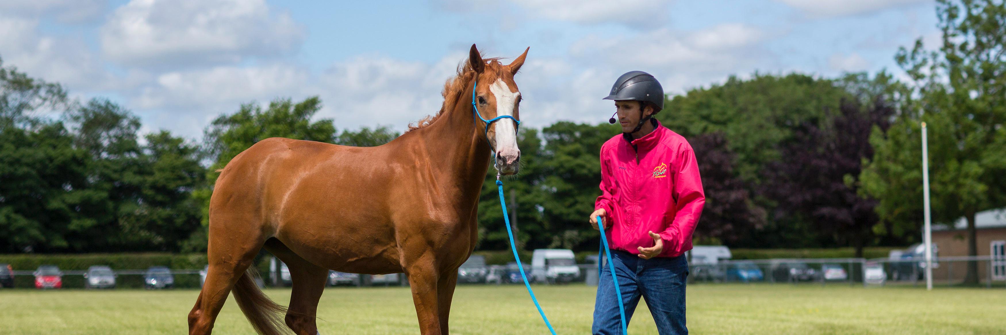 YHorsemanship's profile banner image
