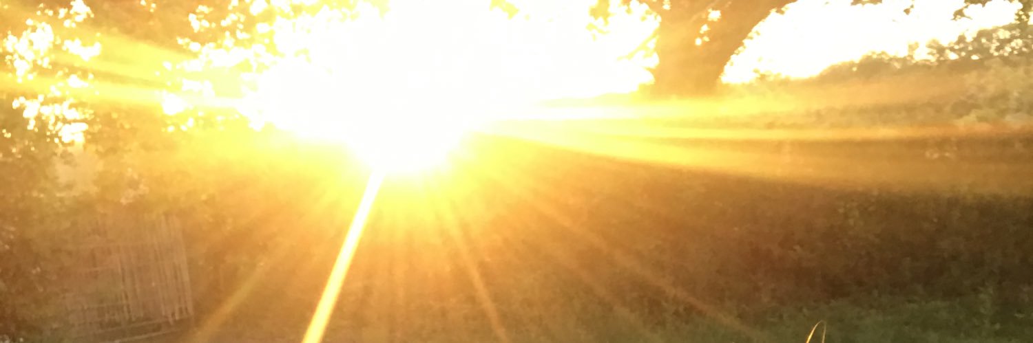 KellChras's profile banner image