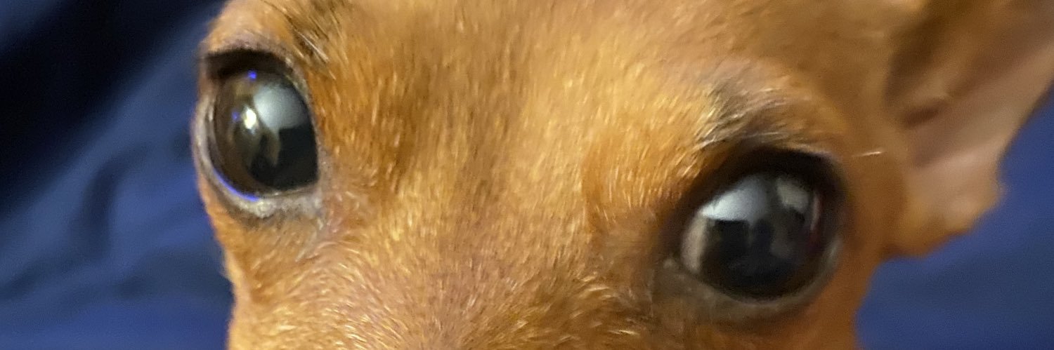 MellowAntonio's profile banner image