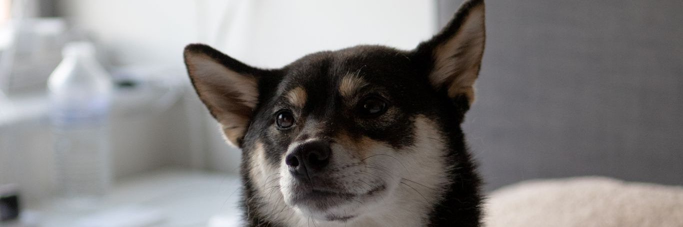 Dirkxchris's profile banner image