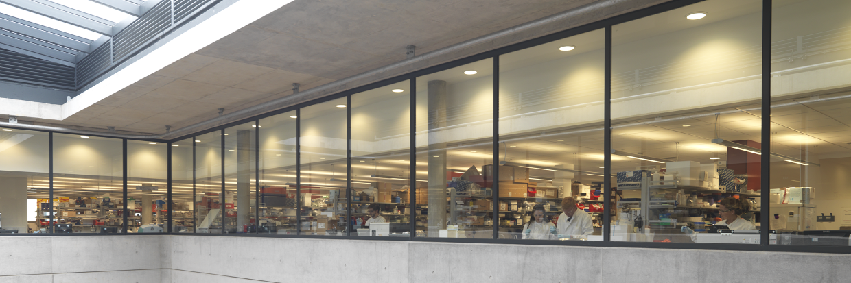 Jenner Institute banner