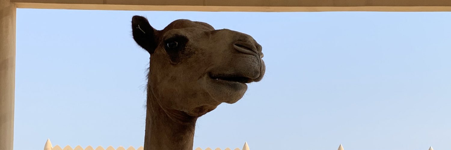 izzysalazarr's profile banner image