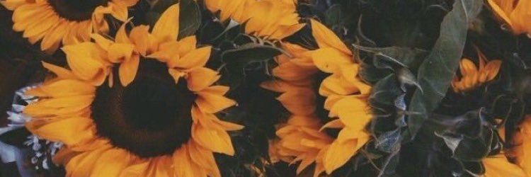 imarinax's profile banner image