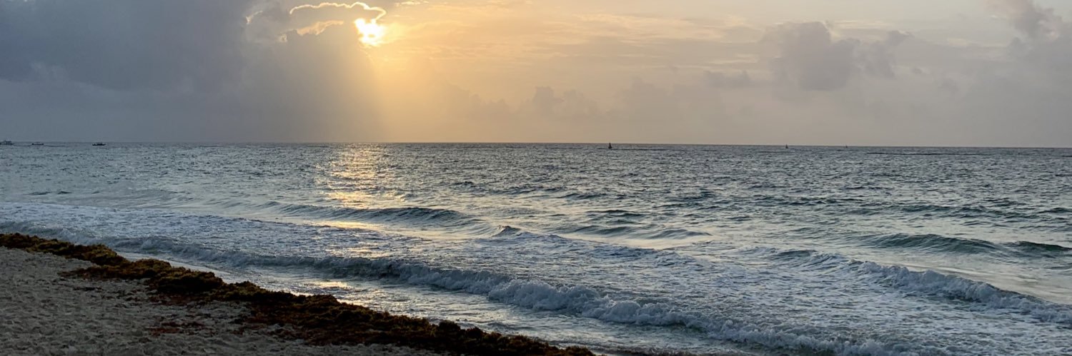 EmiVelazquezG's profile banner image