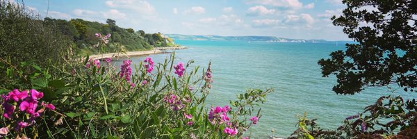 MrsGTilley Profile Banner