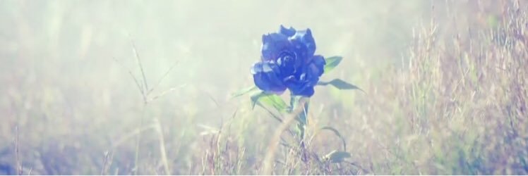 tpsakura_'s profile banner image