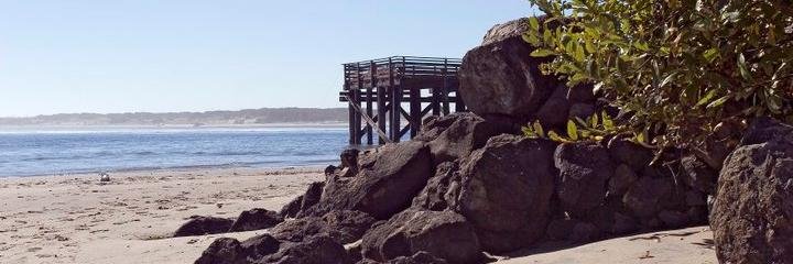 jaydedcasey's profile banner image