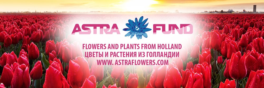 AstraFund's profile banner image
