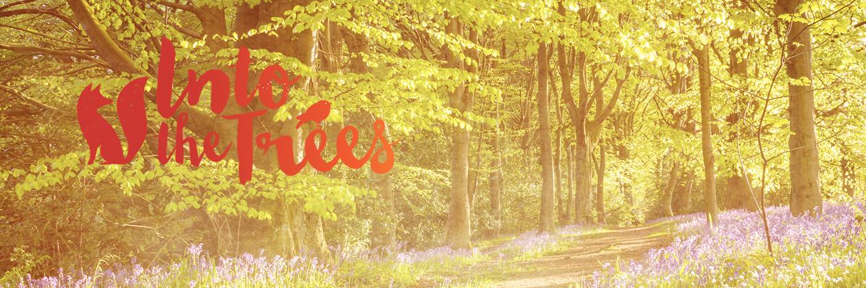Into The Trees  🌳 banner