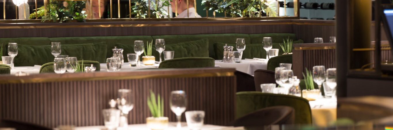 Team albert's banner