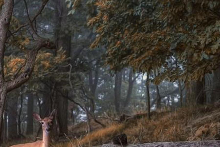 nglymu's profile banner image