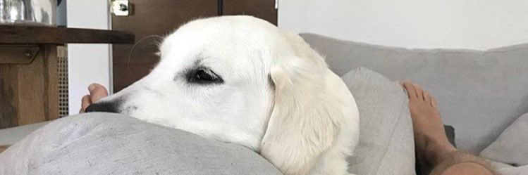 cameron_life12's profile banner image