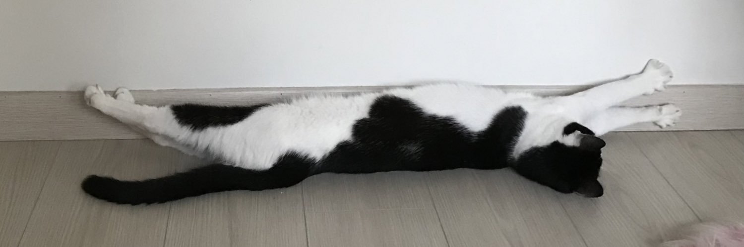 zdscrw's profile banner image