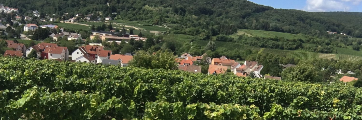 Timm Possible banner