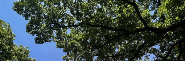 ad_kwiatkowski Profile Banner