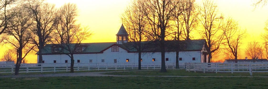 onemoore's profile banner image