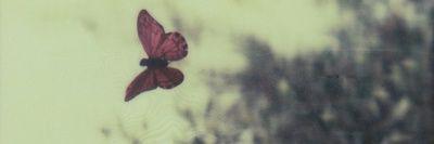 albagoth's profile banner image