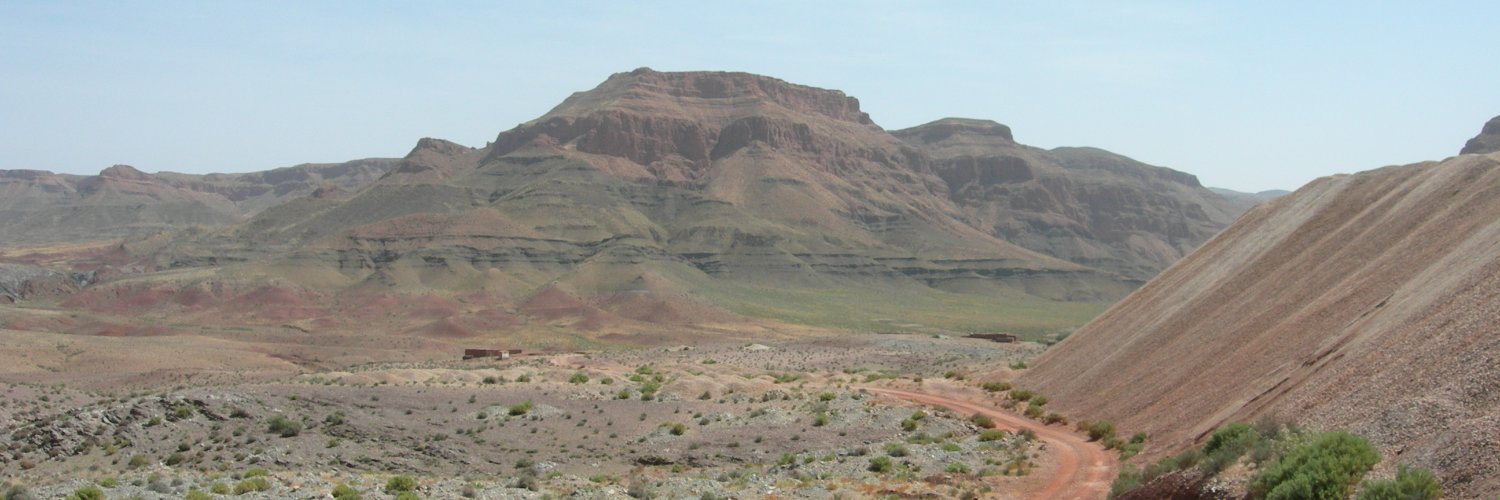 Sara Callegaro banner