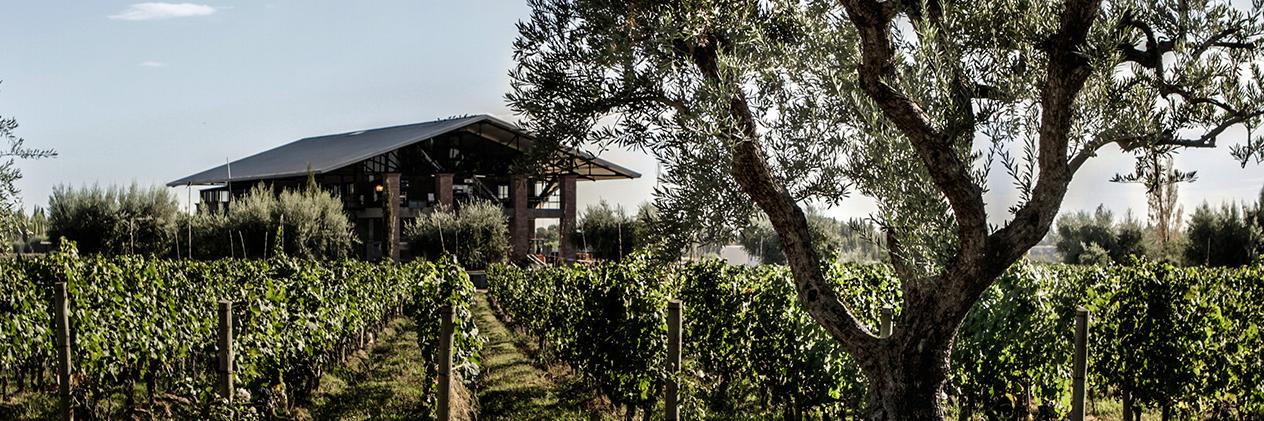 Achaval-Ferrer USA banner