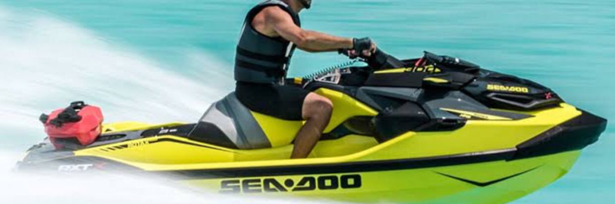 TremrosaVale's profile banner image